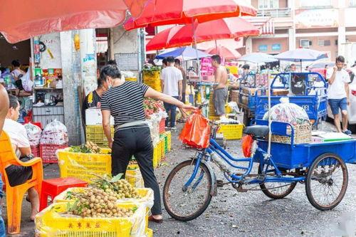 江南市场哈密瓜今日行情,甜蜜价格波动，抢购热潮来袭
