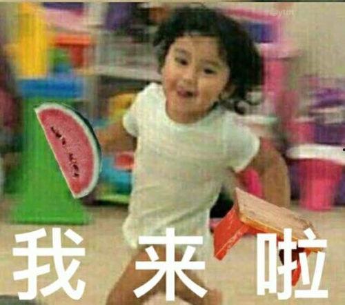 今日头条阿瓜图片表情包,萌态可掬，笑点满满！