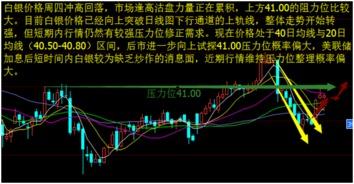 乳瓜今日行情走势图分析,今日走势图深度解读