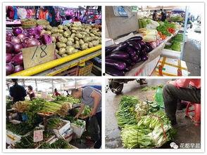 今日瓜菜批发价多少,今日瓜菜批发价行情一览