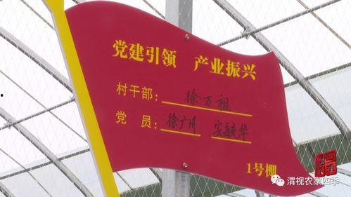 华州瓜坡今日头条,最新动态一览无余