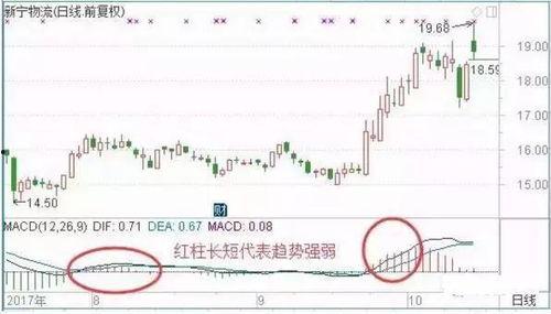 上海今日头条卖瓜事件,网络营销新花样引发争议