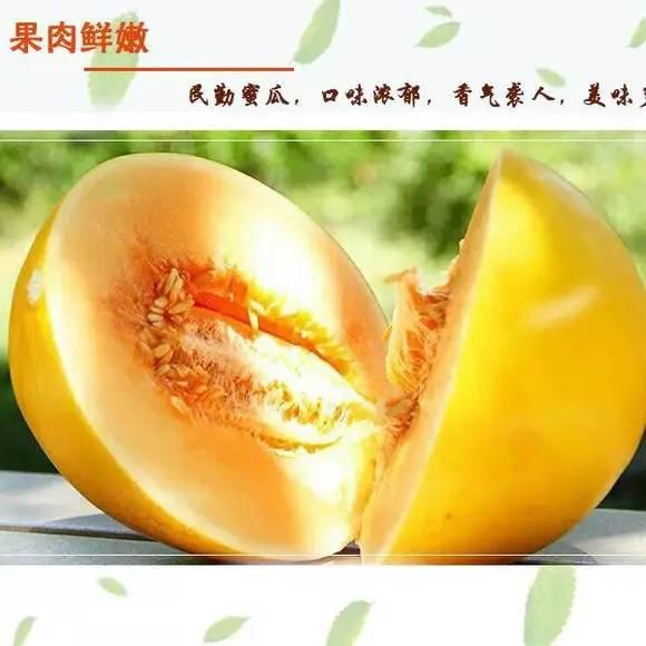 蜜瓜价格表今日价格,品质与产地影响市场行情