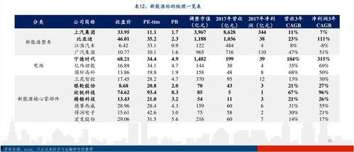 海南二瓜今日价格表,多品种竞相上涨，市场热度升温