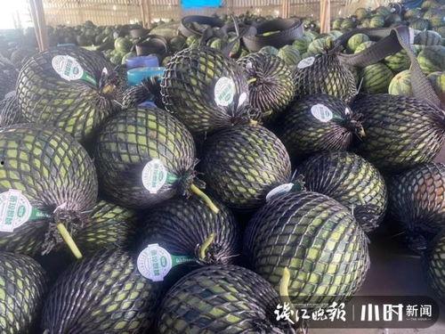 海南二瓜今日价格表,多品种竞相上涨，市场热度升温