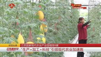 今日新鲜事瓜视频,揭秘娱乐圈最新热点事件