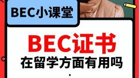 今日爆料看点吃瓜视频下载,吃瓜视频下载背后的爆料看点