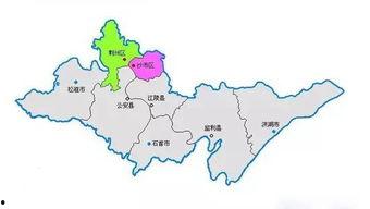 荆州两湖今日白瓜价,荆州两湖今日白瓜价格动态分析