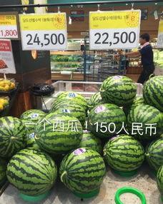 韩寺哈密瓜今日价格,价格行情一览”