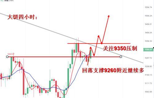 今日瓜干价格行情走势,今日行情走势解析