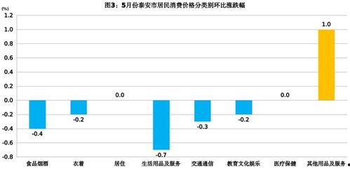 今日瓜干价格行情走势,今日行情走势解析