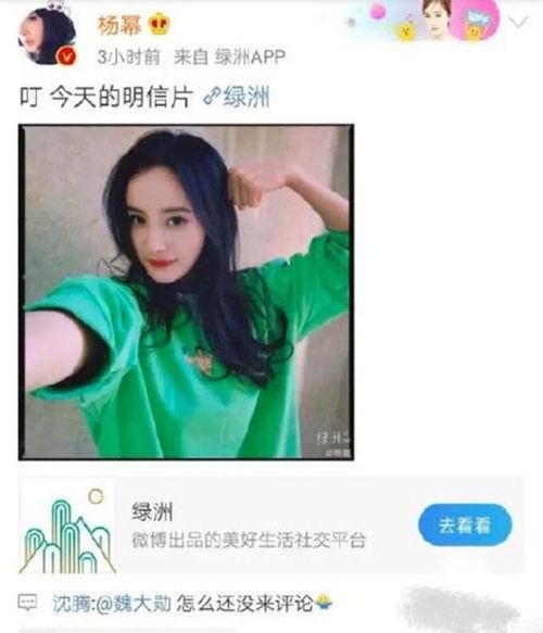 今日吃瓜沈樵是真的吗,今日吃瓜事件背后的真相