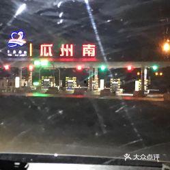 瓜州县今日猪价行情表,涨跌互现，市场动态解析